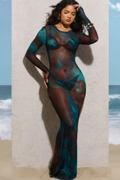 Cruz | Blue Print Mesh Long-Sleeve Maxi Dress