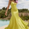 Zamora | Lime Green Plunge-Neck Fishtail Maxi Dress With Corsage